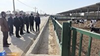 رشته دامپزشکی در دانشگاه آزاد اسلامی ورامین راهاندازی میشود