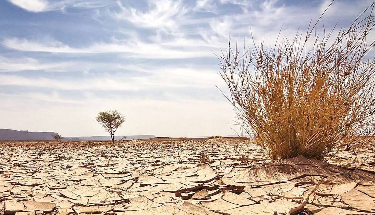 حمایت از طرحهای فناورانه در حوزه اقتصاد بیابان