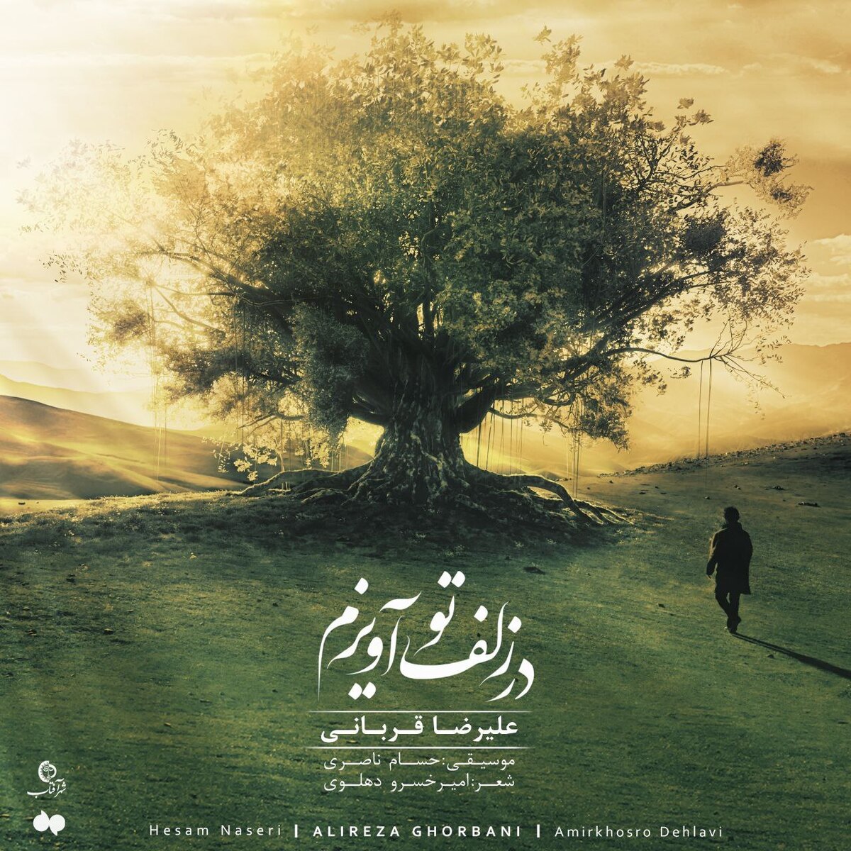 موزیکویدئوی «در زلف تو آویزم» علیرضا قربانی منتشر شد+فیلم