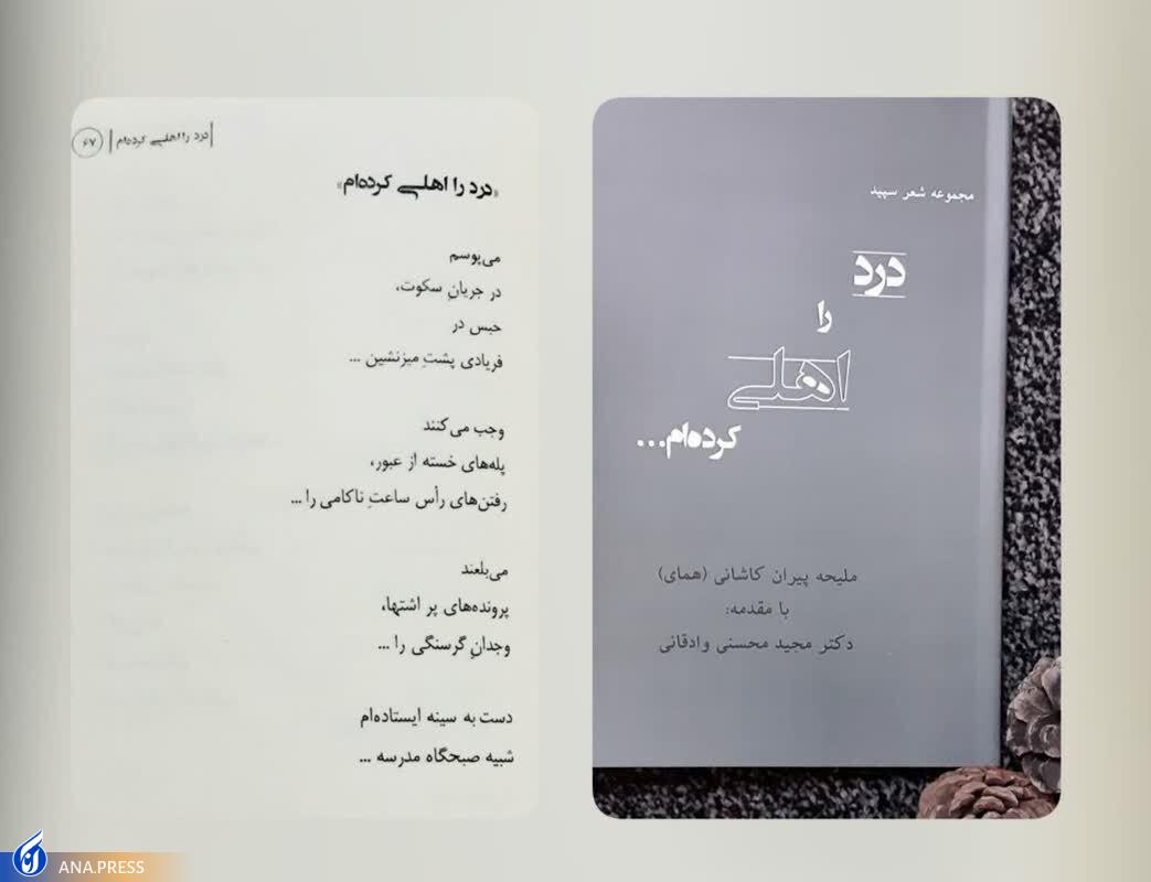 رونمایی از ۲ کتاب ادبی در دانشگاه آزاد اسلامی واحد کاشان