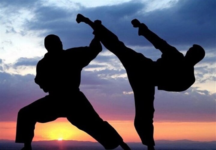 حواشی عجیب فدراسیون انجمن‌های ورزش‌های رزمی/ از استعفا و مرخصی تا بی‌عدالتی و لغو انتخابات