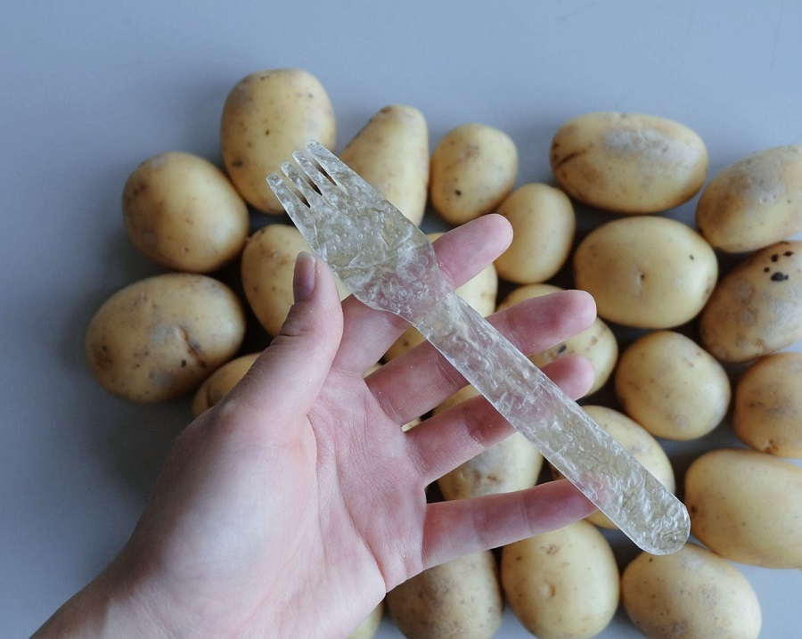 بقای بشر در گرو توسعه بازیافت بقای بشر در گرو توسعه بازیافت