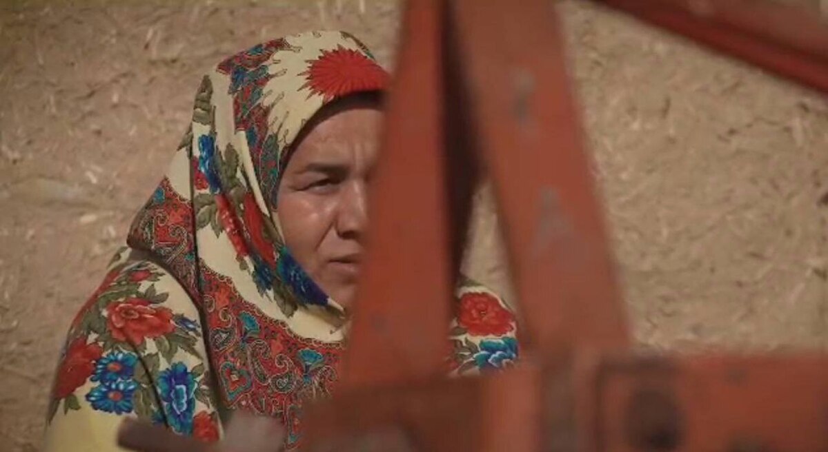 «کار خونه» میزبان بانوی کارآفرین از استان گلستان