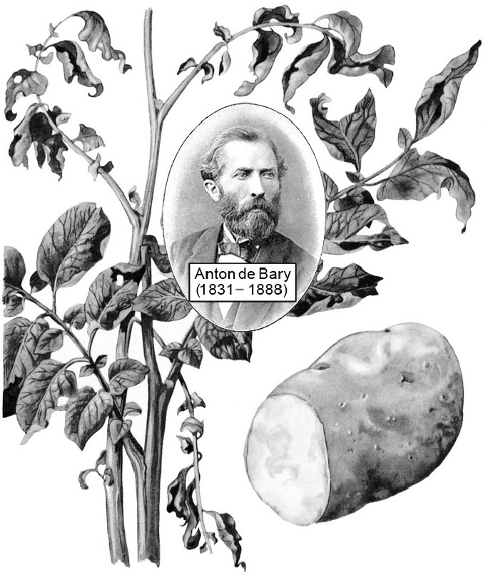 تقویم علم۲۹ دی در دنیای علم چه خبر؟ تقویم علم۲۹ دی در دنیای علم چه خبر؟