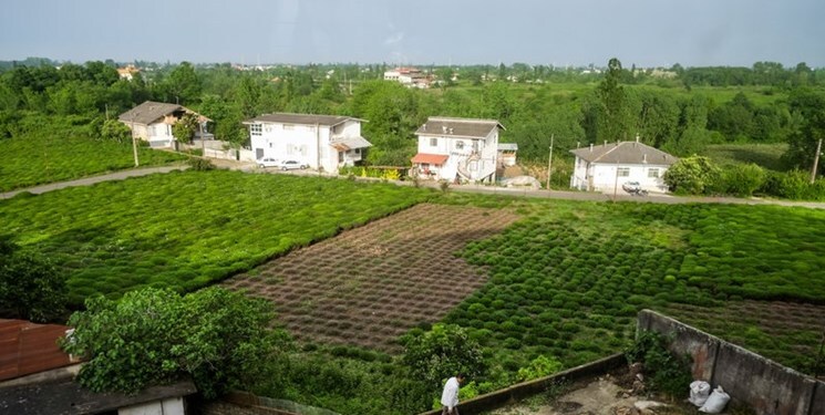 مصادیق و زمینههای فساد در موضوع تغییر کاربری اراضی کشاورزی مصادیق و زمینههای فساد در موضوع تغییر کاربری اراضی کشاورزی