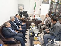 راه‌اندازی کسب‌وکار‌های مبتنی بر ظرفیت‌ روستا با کمک دانشگاه
