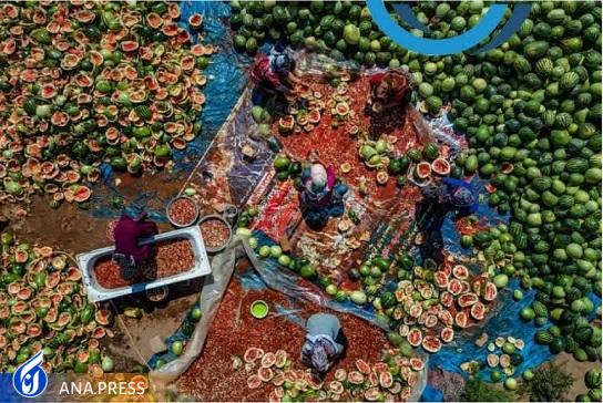 کسب مقام نخست جشنواره بینالمللی عکس آمریکا توسط کارمند دانشگاه آزاد مشهد کسب مقام نخست جشنواره بینالمللی عکس آمریکا توسط کارمند دانشگاه آزاد مشهد