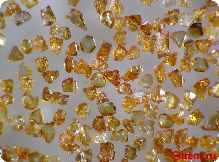 ۲۳ بهمن در دنیای علم چه خبر؟