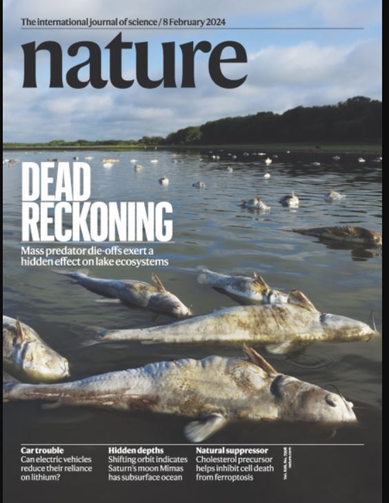 هفته دوم فوریه؛ از تهیه دقیقترین نقشه کهکشان تا نظریهای برای همهچیز هفته دوم فوریه؛ از تهیه دقیقترین نقشه کهکشان تا نظریهای برای همهچیز