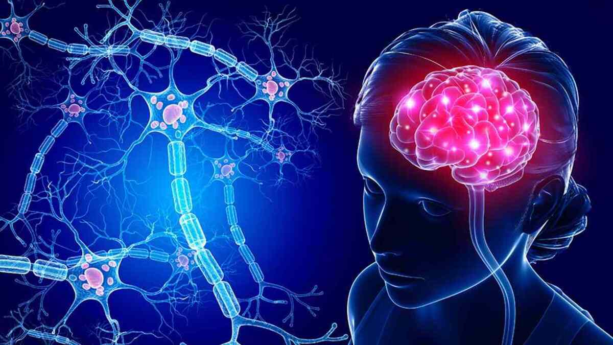 طراحی نرمافزاری مبتنی بر هوش مصنوعی برای تشخیص آلزایمر