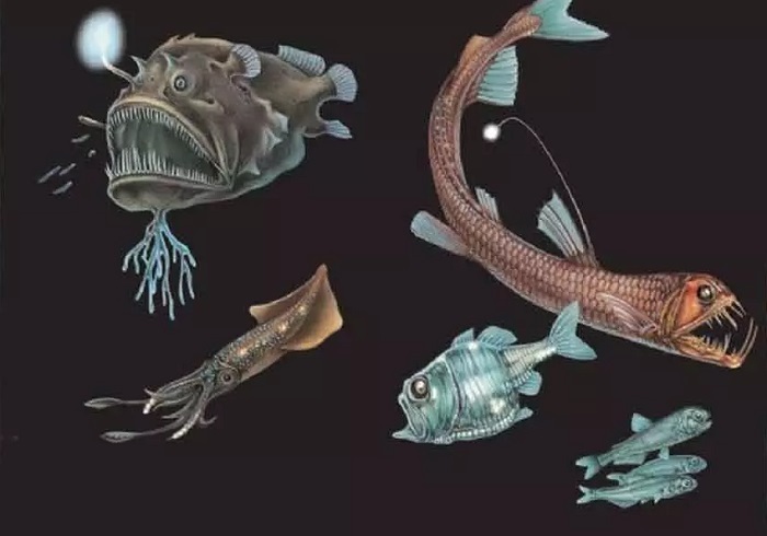 ۳۰ بهمن در دنیای علم چه خبر؟ ۳۰ بهمن در دنیای علم چه خبر؟