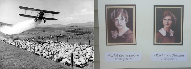 ۹ بهمن در دنیای علم چه خبر؟