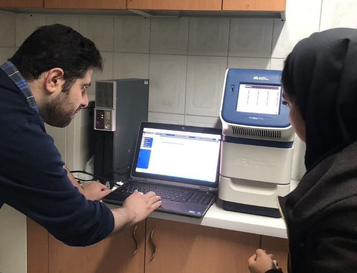 استفاده از ظرفیت دانشجویان در فعالیتهای فناورانه و دانشبنیان