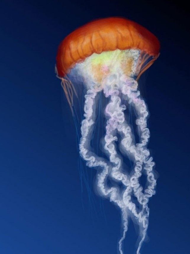 اکتشاف اعماق اقیانوس با عروس دریایی رباتیک اکتشاف اعماق اقیانوس با عروس دریایی رباتیک