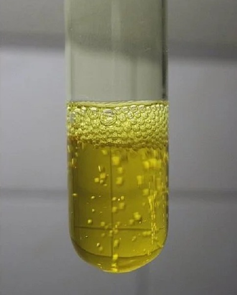 2 اسفند در دنیای علم چه خبر؟