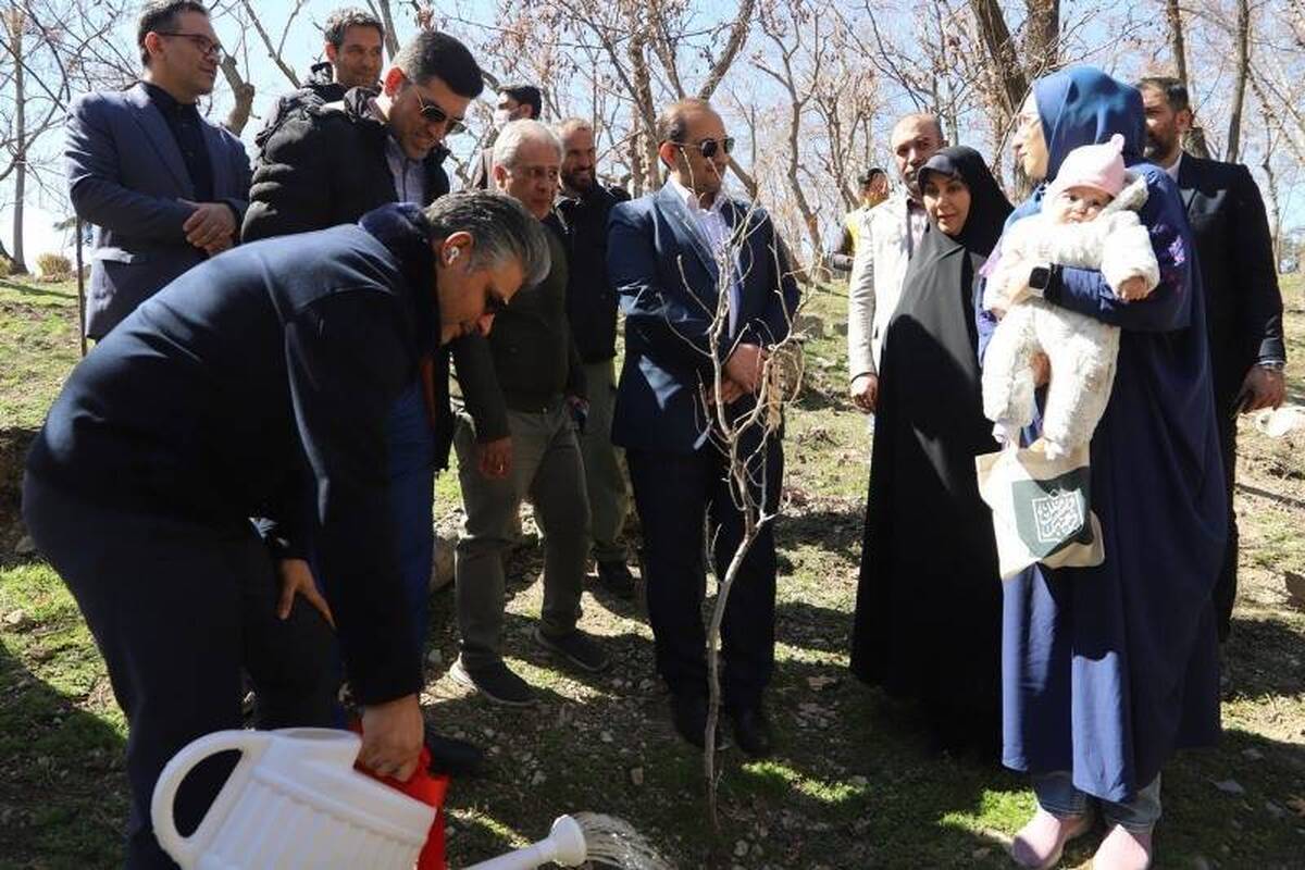 کاشت نهال به نام شهدا و نوزادان تازه متولد شده در بوستان ملت