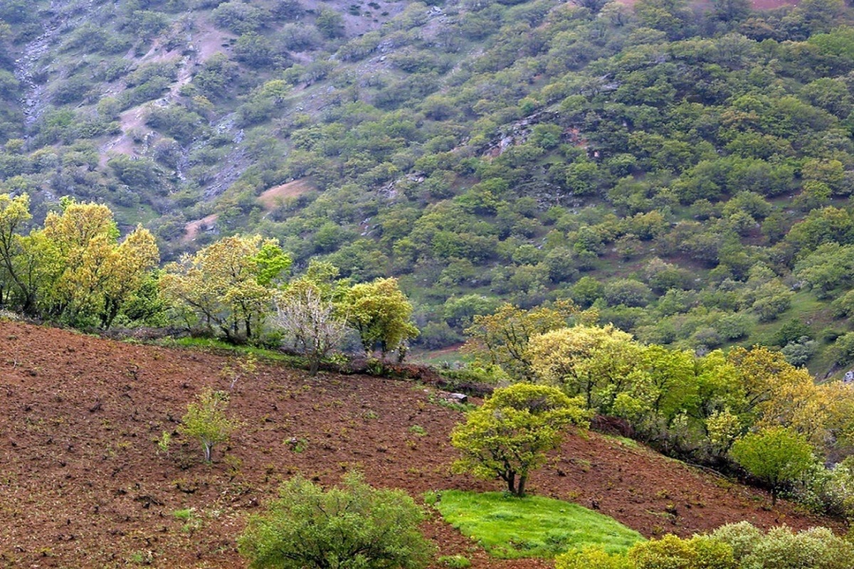 حفاظت از منابع طبیعی تعطیلپذیر نیست؛ حتی در ایام نوروزی