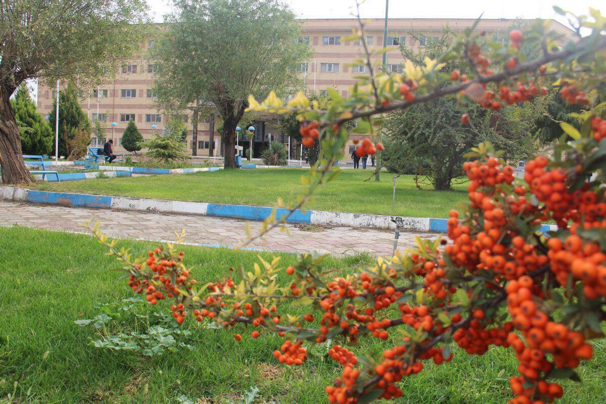 رویداد صدرا در حوزه کشاورزی و صنایع برگزار میشود شبکهسازی نخبگان علمی و فنی