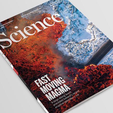 هفته سوم مارس؛ از چگونگی شکلگیری تصمیم در مغز تا مواد مذابی که از زمین میجوشند هفته سوم مارس؛ از چگونگی شکلگیری تصمیم در مغز تا مواد مذابی که از زمین میجوشند