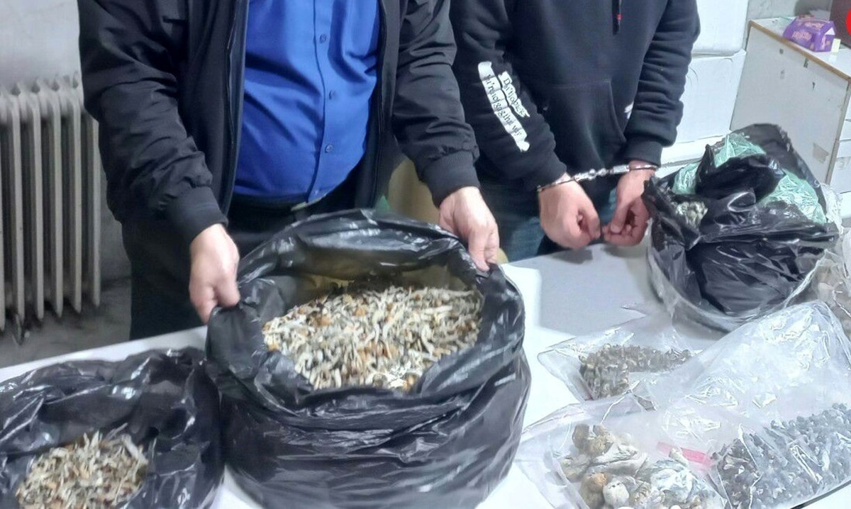 کشف ۸ کیلوگرم «ماشروم» از یک قاچاقچی در تهران
