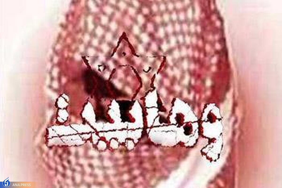 «محمد بن عبدالوهاب» چه اقدامات فتنه برانگیزی کرد
