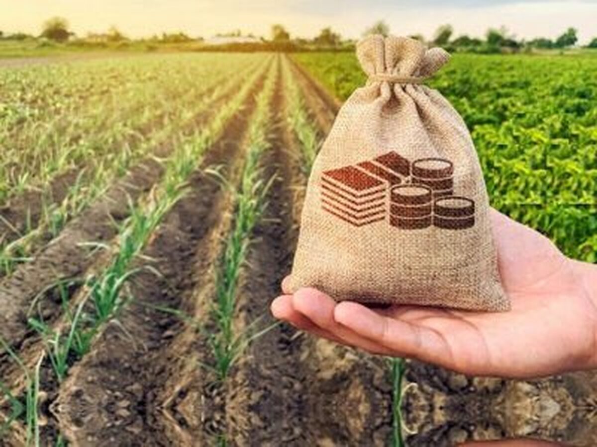 آمادگی صندوق بیمه کشاورزی برای حمایت از اجرای الگوی کشت محصولات باغی