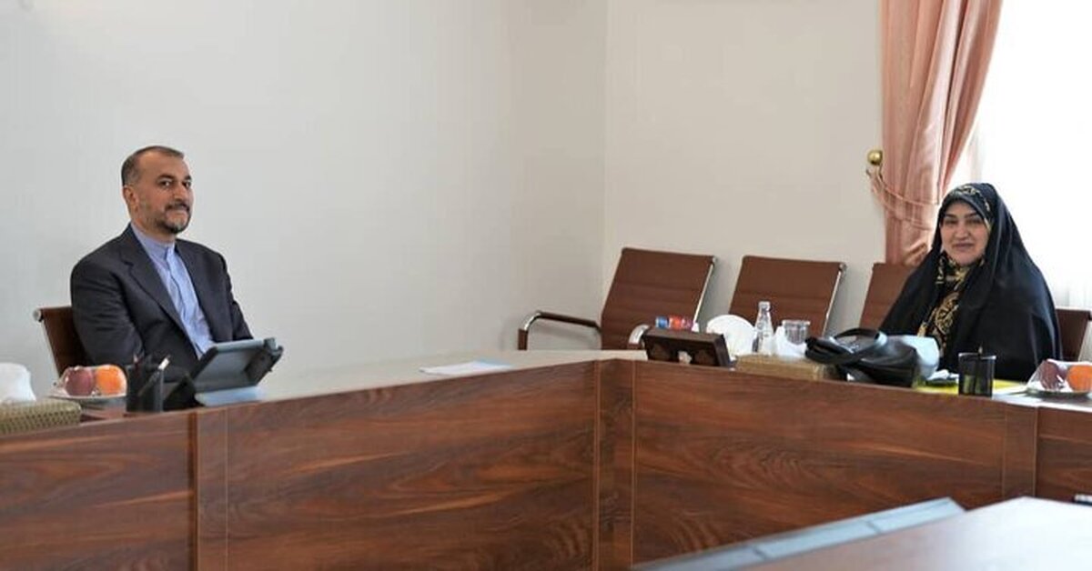 دیدار امیرعبداللهیان با رئیس فراکسیون محیطزیست مجلس
