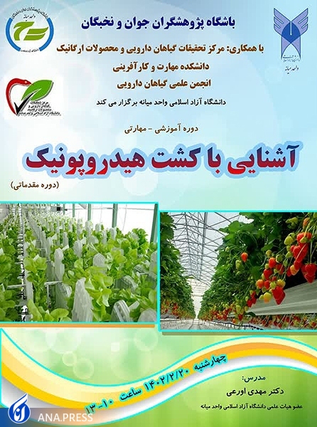 سیستم هیدروپونیک راه&zwnj;حل ایده&zwnj;آل برای افرادی است که امکان باغبانی ندارند