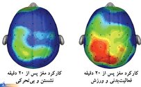 بهبود فعالیت مغز و فرآیندهای شناختی با ورزش