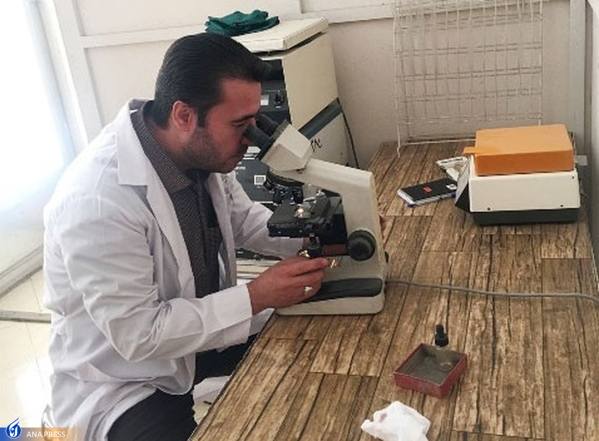 پلیکلینیک تخصصی دامهای کوچک پذیرای دانشجویان دکتری حرفهای دامپزشکی