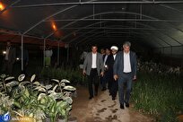 نمایشگاه دانشبنیان گیاهان زینتی و آپارتمانی در زاهدان گشایش یافت
