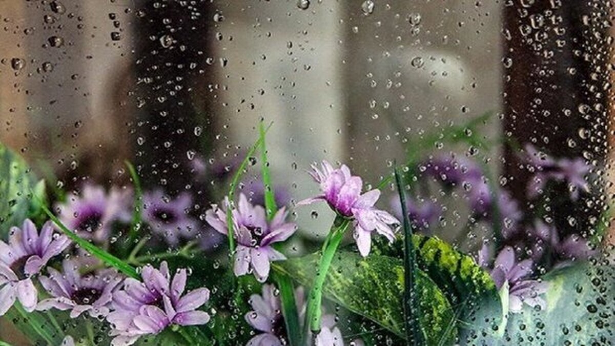 رگبار باران بهاری ادامه دارد