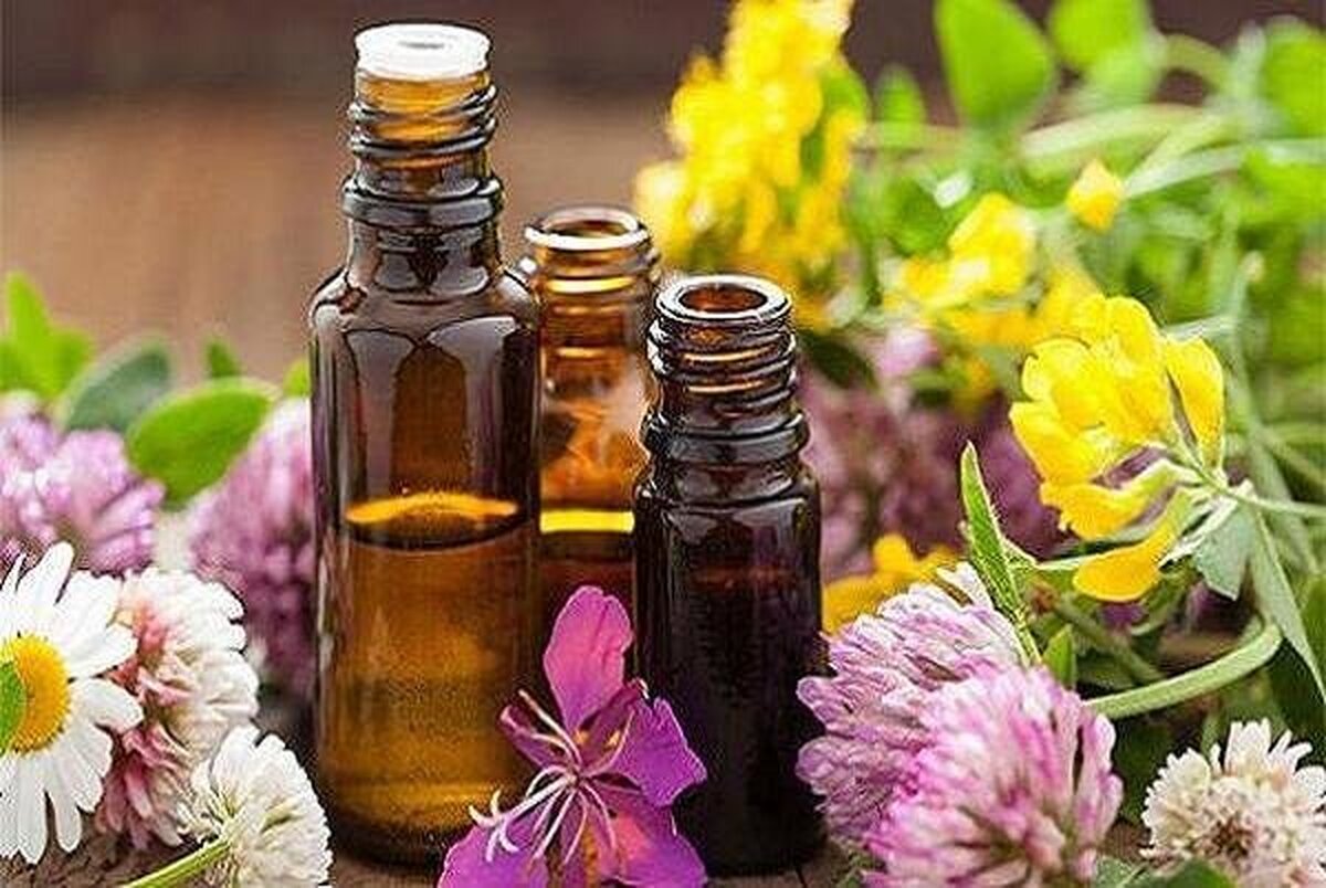 تولید نوآورانه اسانسهای گیاهی بدون آسیب به بافت گیاه