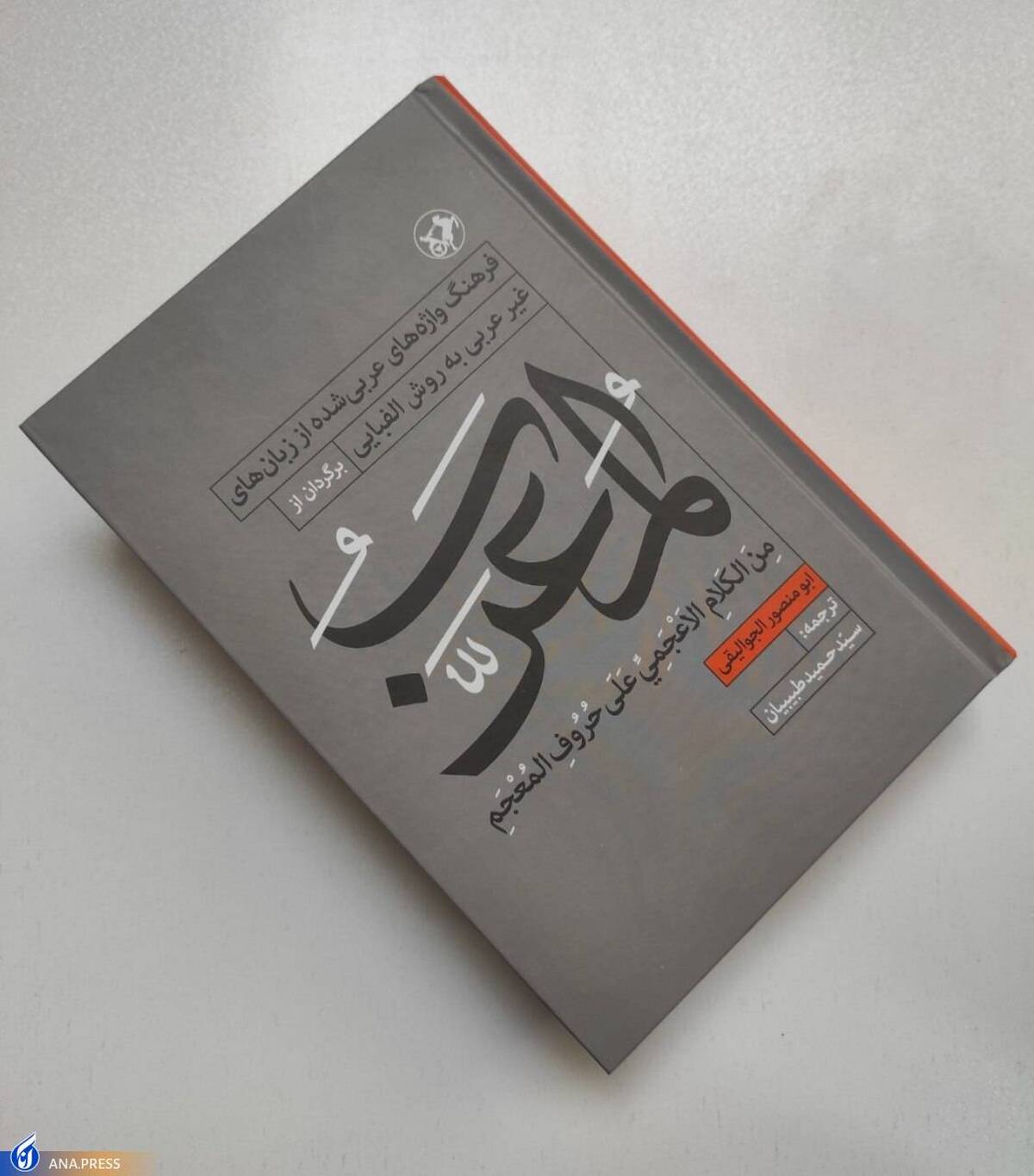 «ابومنصور موهوب بن احمد» در نمایشگاه کتاب رویت شد