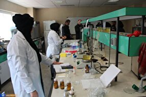 موفقیتهایی با طعم فناوری؛ از راهاندازی سرای نوآوری برنج تا ایجاد مرکز رشد سلامت و دارو