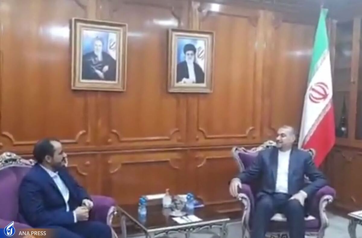 امیرعبداللهیان با رئیس هیات مذاکره کننده دولت نجات ملی یمن گفتوگو کرد + فیلم