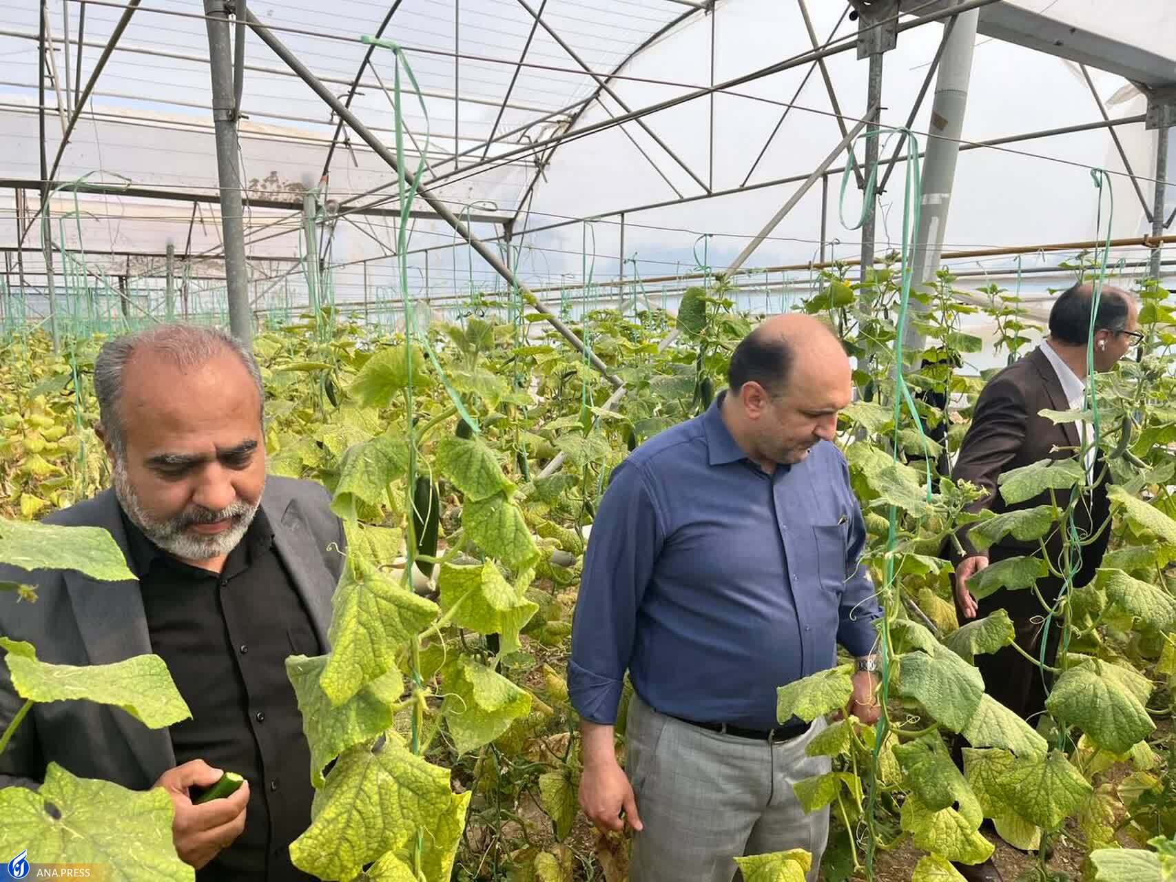 نظارت دوره&zwnj;ای و فصلی بودجه&zwnj; واحد&zwnj;های دانشگاهی