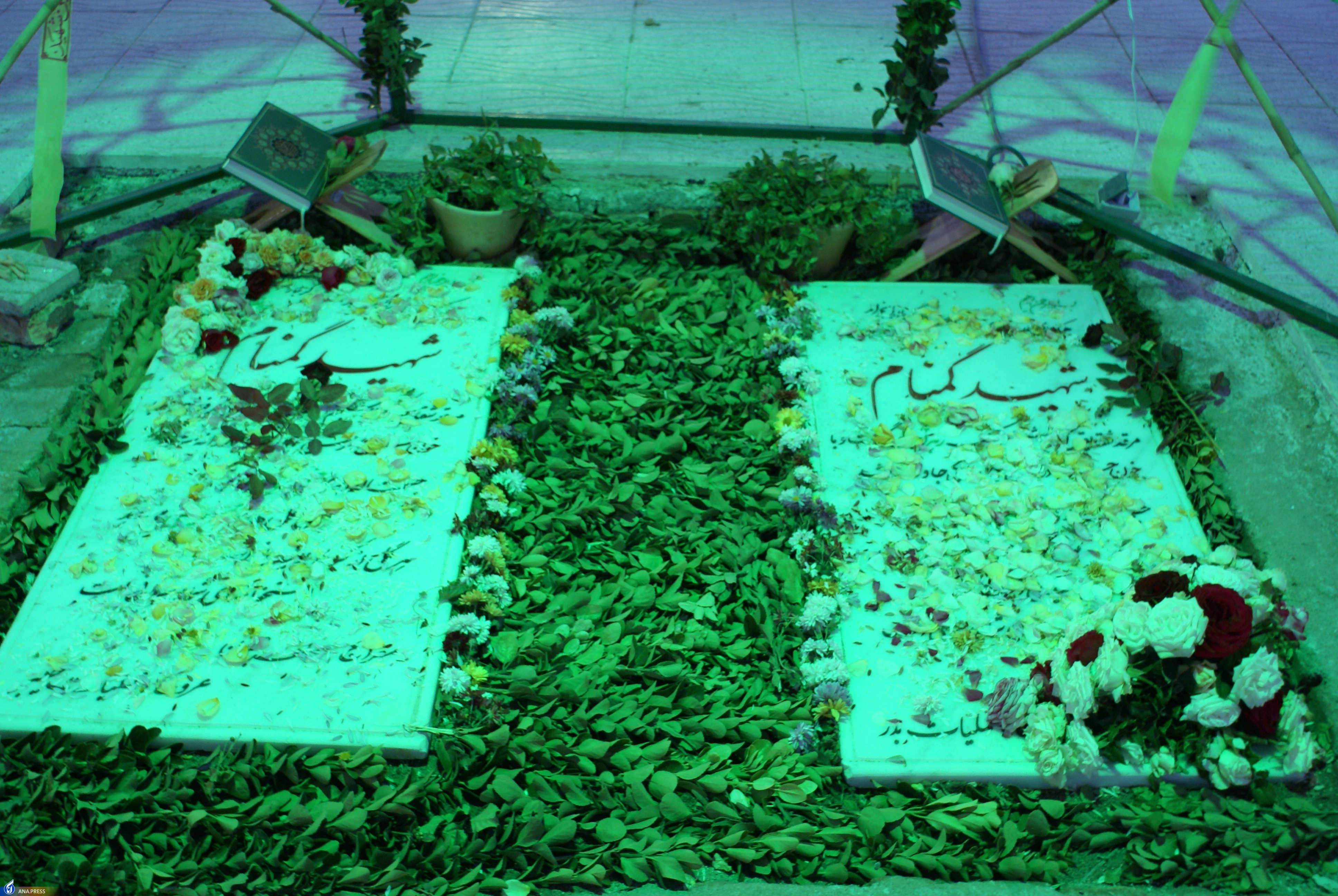 تولد بیست و یک سالگی دانشگاه آزاد اسلامی مهریز با سال&zwnj;ها بالندگی علمی