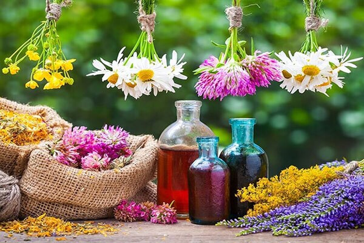 عرضه دستگاه عصاره‌گیری از گیاهان در نمایشگاه آبادیران