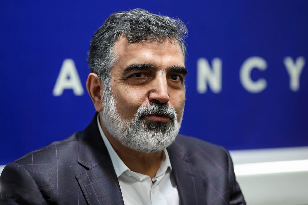 کمالوندی: بازرسی آنلاین در تأسیسات هستهای ایران وجود ندارد