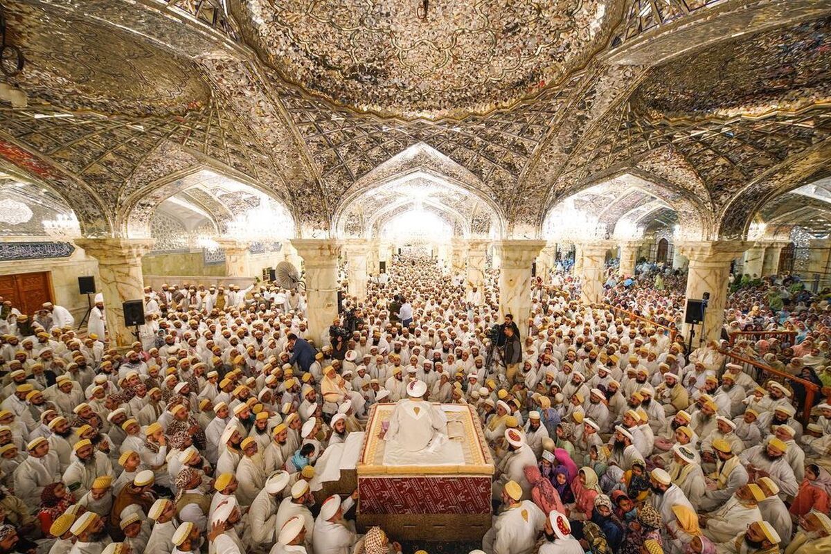 حرم امام علی (ع) در قرق هندی‌ها +عکس