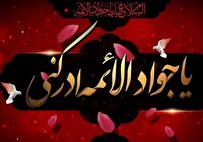 ابنالرضا که پرتوی از آفتاب داشت...