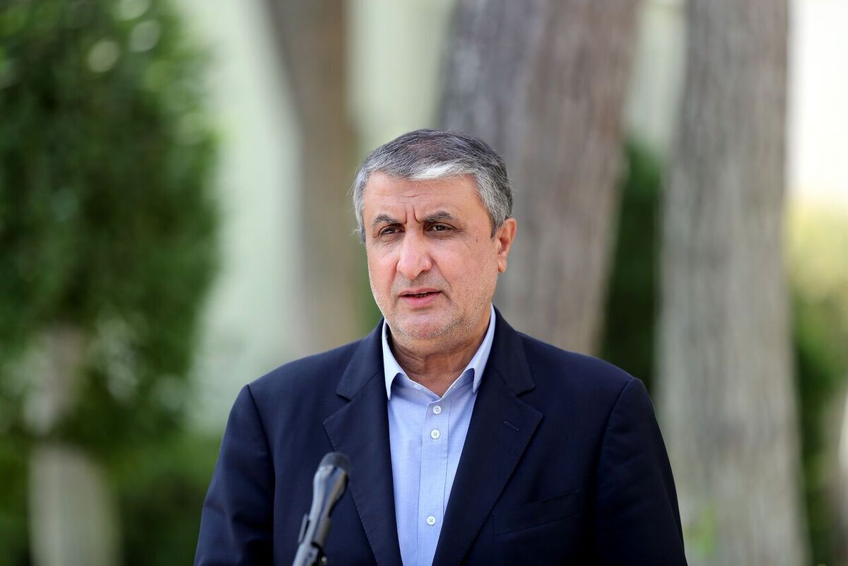 مطابق موازین آژانس و پادمان کار میکنیم