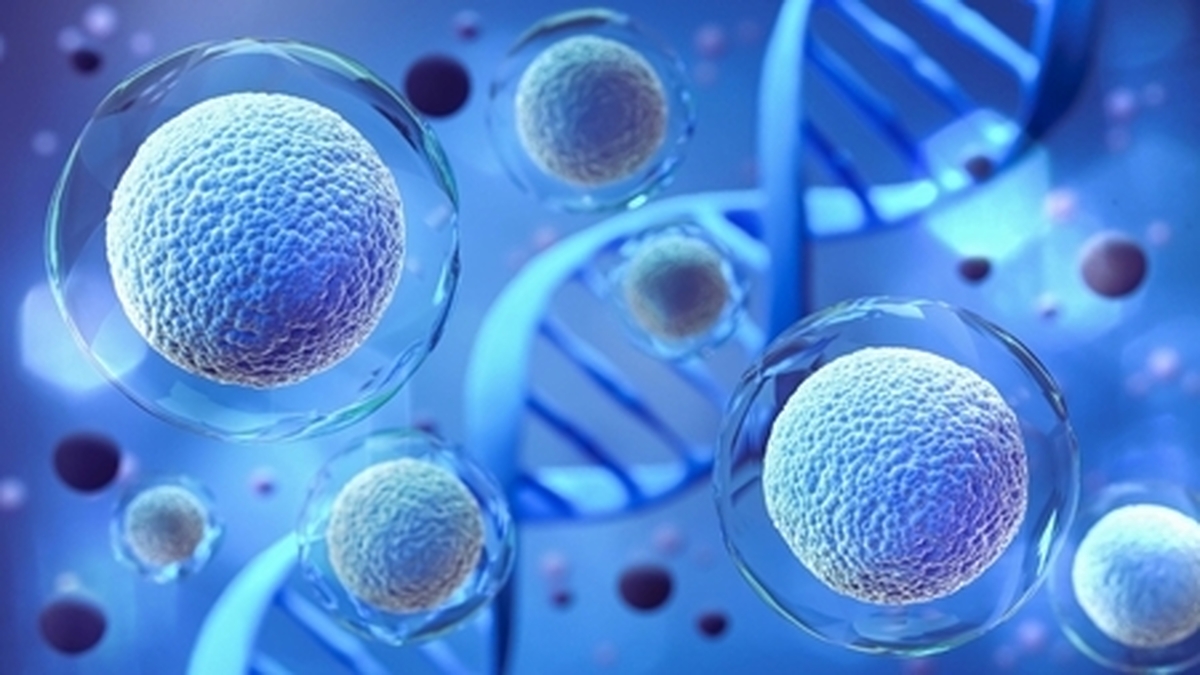 ارائه خدمات آزمایشی در حوزه سلولدرمانی توسط یک شرکت دانشبنیان