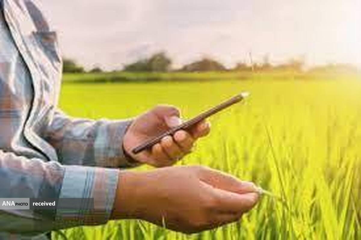 مدیریت هوشمند محصولات دانشبنیانی با ایجاد یک پلتفرم
