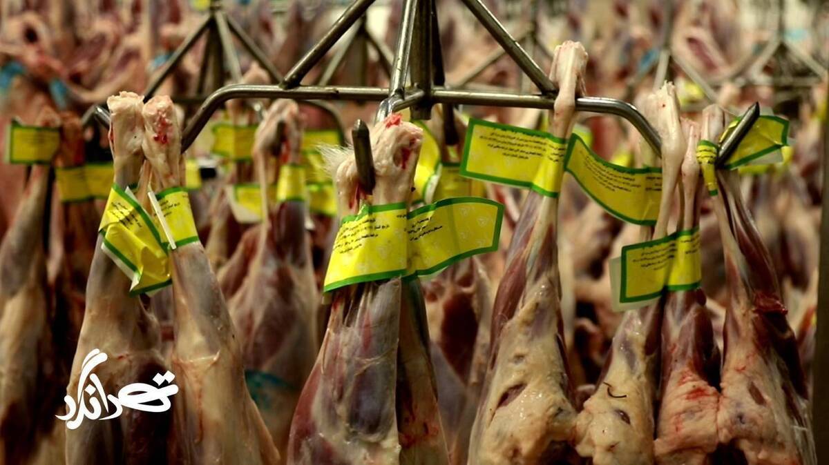 نگاهی به فرآوری گوشت سبک و سنگین در «تهرانگرد»