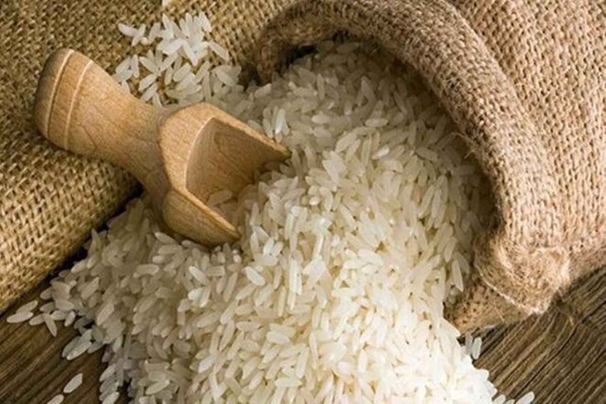 ممنوعیت واردات برنج