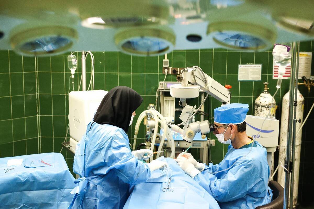 اجرای دو پویش توسط گروه جهادی شهدا در فاصله «قربان تا غدیر» + فیلم