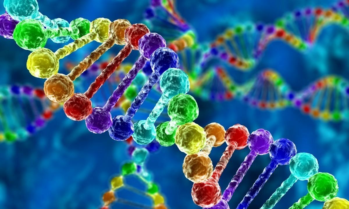 ۵ سال آینده به تکنولوژی تولد نوزاد با ۳ والد ژنتیکی خواهیم رسید ۵ سال آینده به تکنولوژی تولد نوزاد با ۳ والد ژنتیکی خواهیم رسید