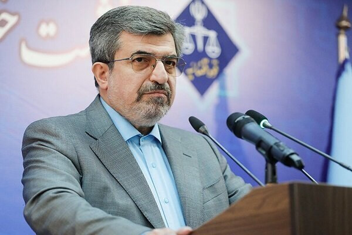 سخنگوی قوه قضائیه: ۵۰ درصد دعاوی حقوقی مربوط به اسناد عادی است